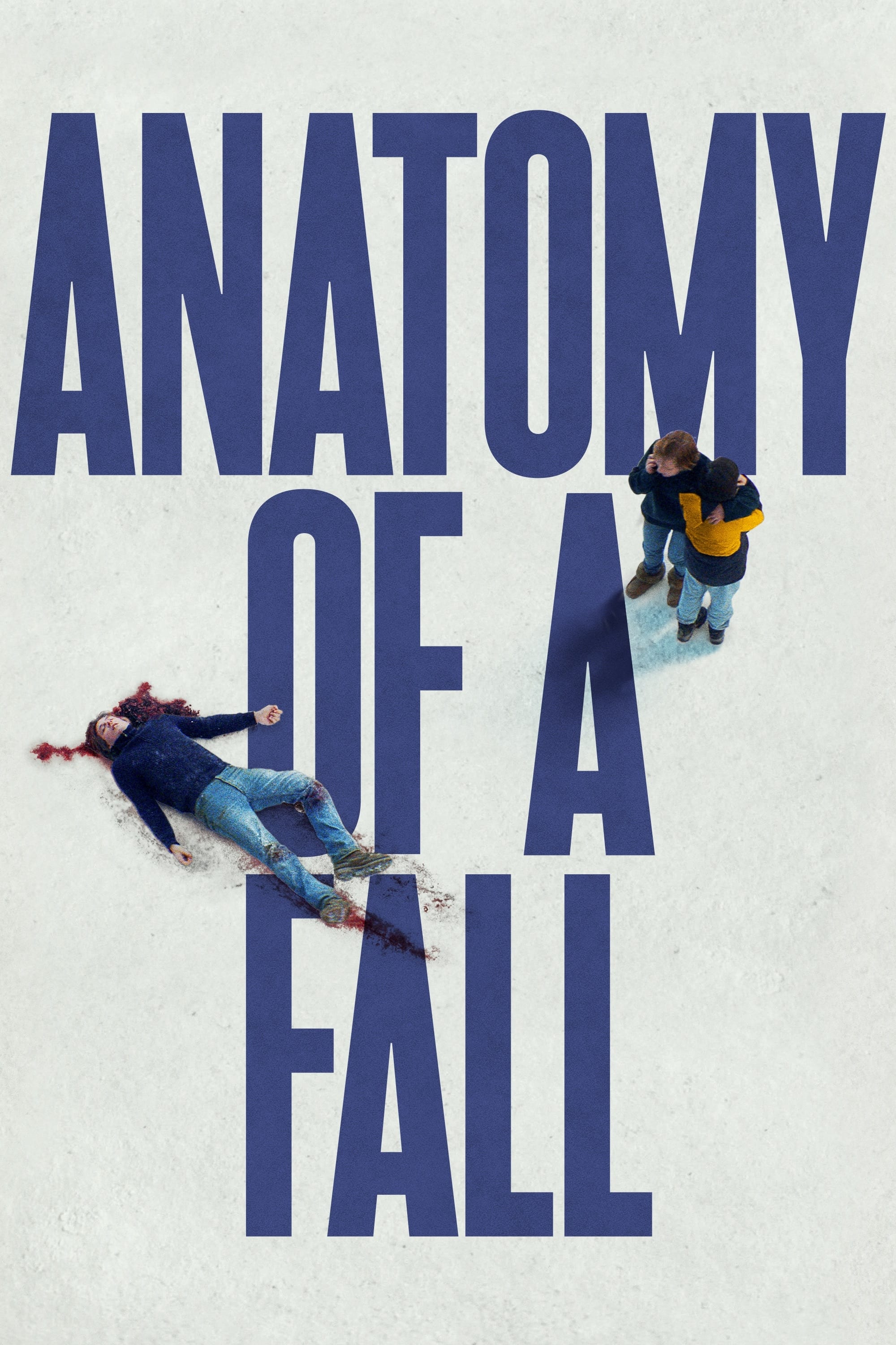 Anatomy of a Fall (2023) movie poster download